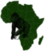 Gorilla trekking in Africa