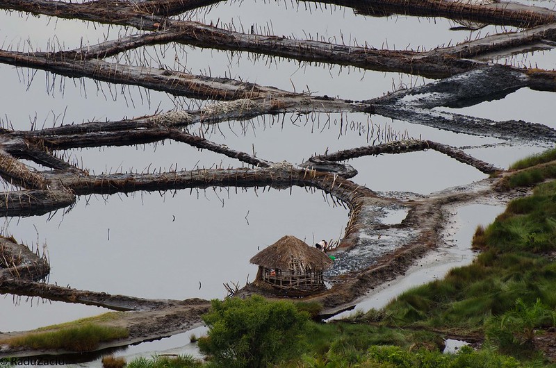 Lake Katwe