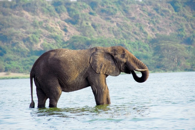 Kazinga Channel