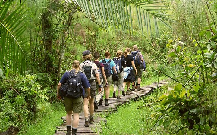 Cultural tour in kinale forest national park