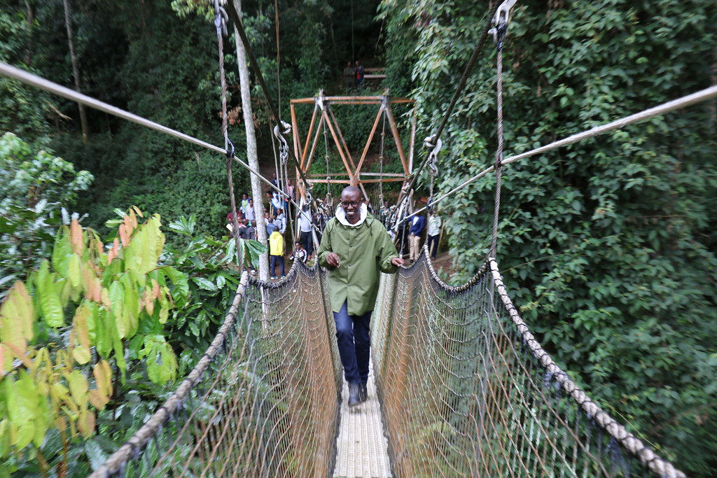 Nyungwe Forest National Park