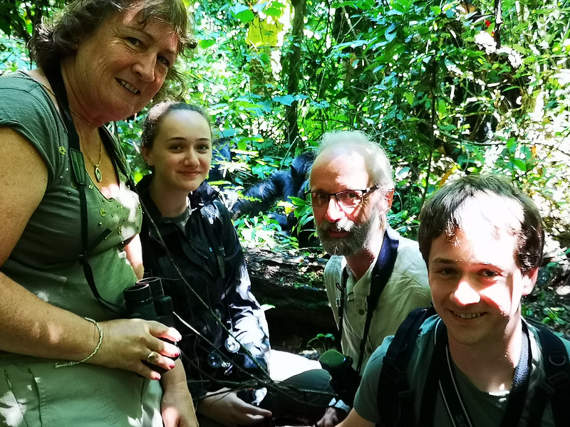 Chimpanzee Trekking in Nyungwe forest National Park