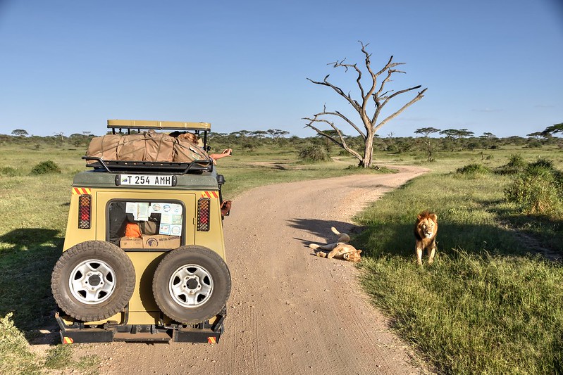 Ngorongoro Crater 