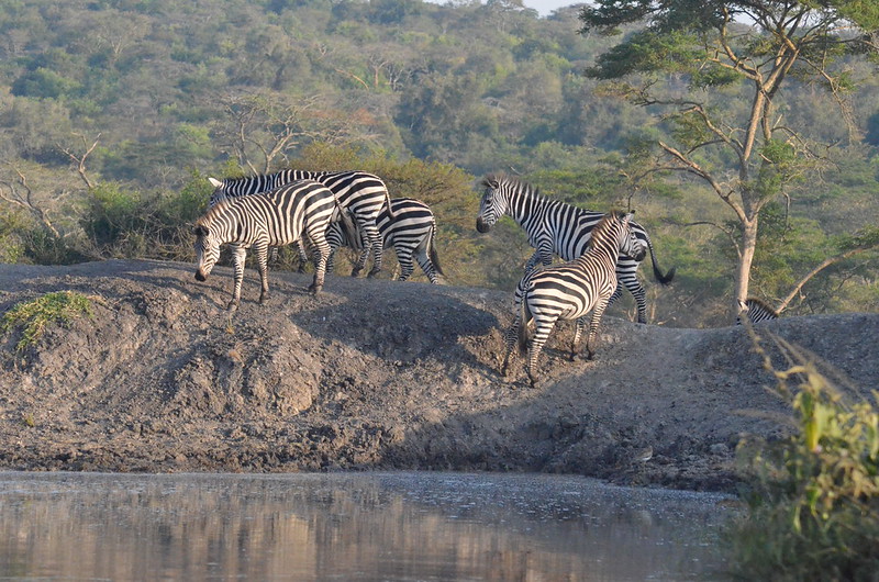 Lake Mburo National Park