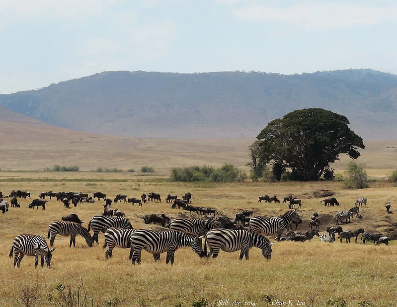 Where is Ngorongoro Crater Located