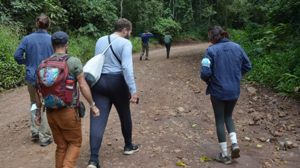 Nature walk in Nyungwe Forest National park 