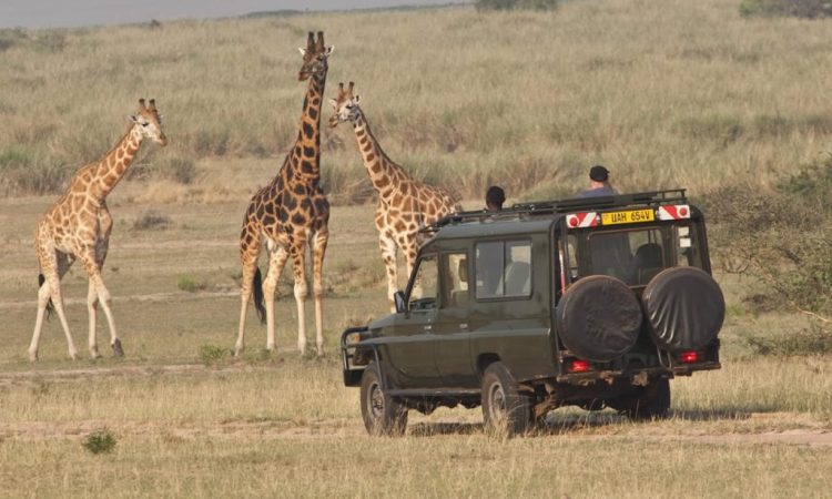 Kidepo Valley National Park