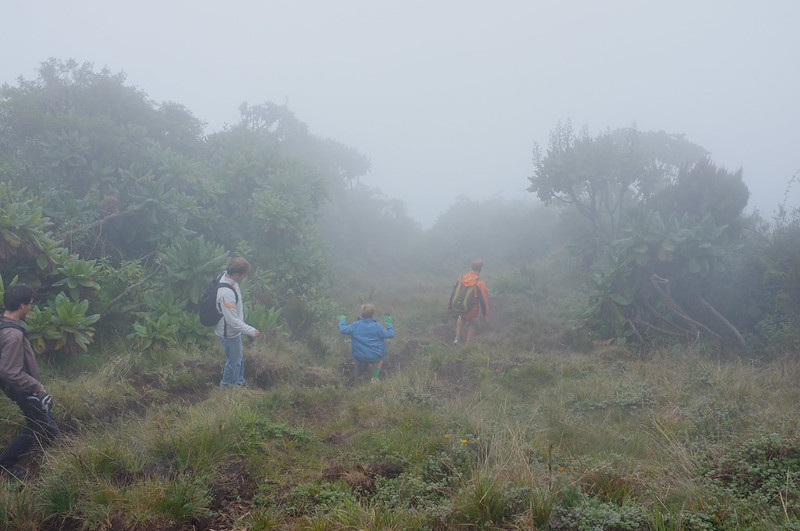 Mount Bisoke