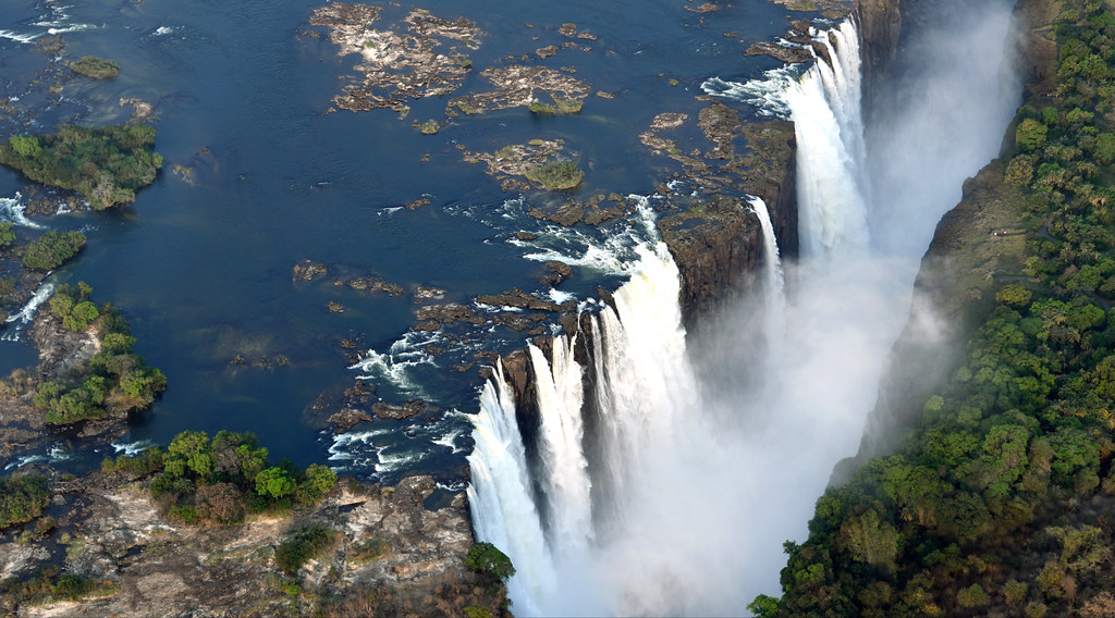 Gorilla trekking from Victoria Falls