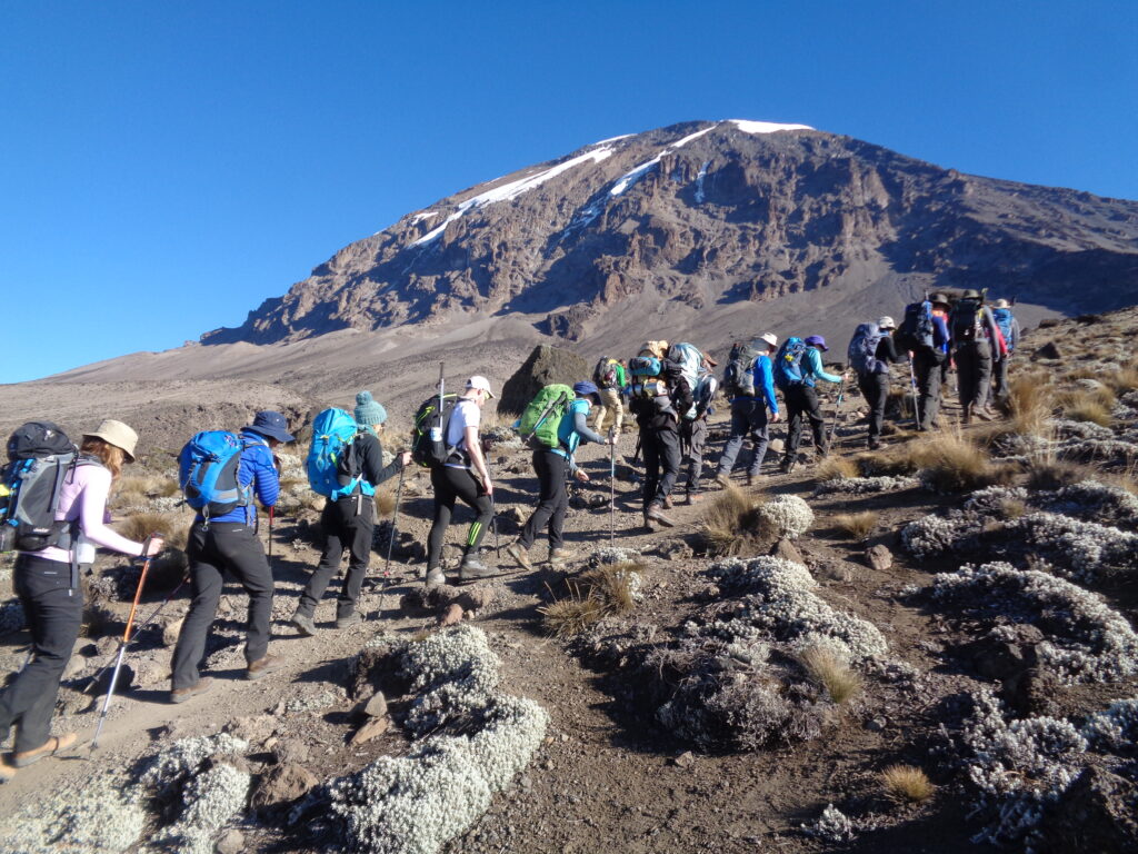 Best time to visit Mount Rwenzori National park