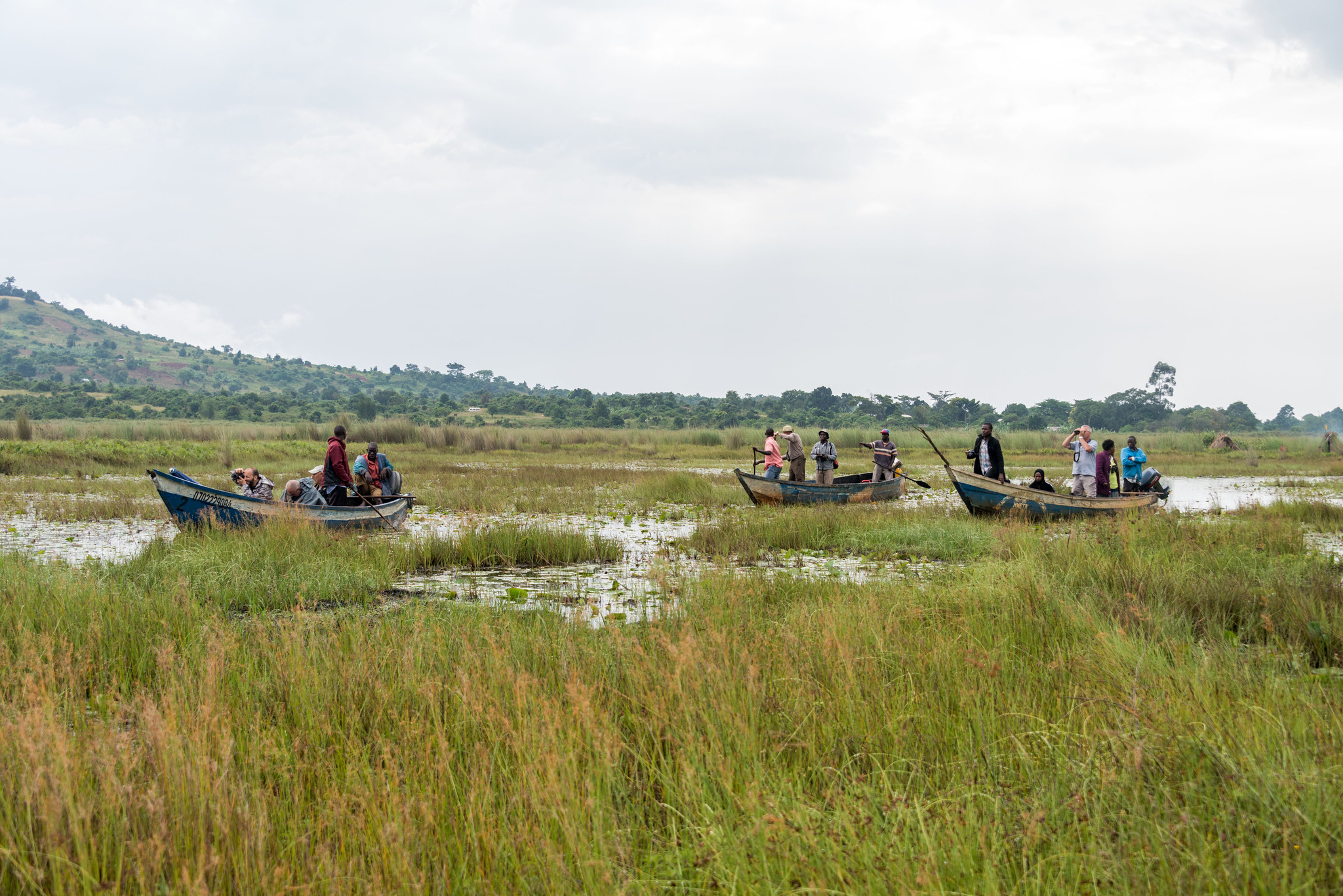 Where to See Shoebill Storks in Uganda