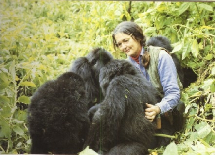 Dian Fossey