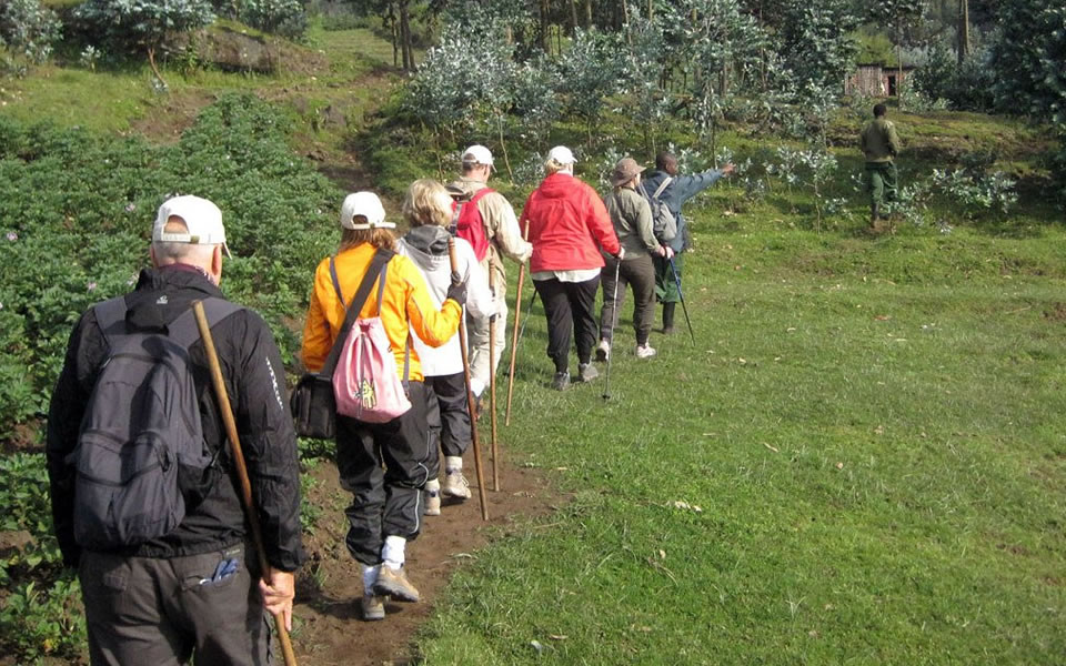 Ngezi nature trail trekking