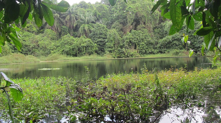 Lake Ngezi 