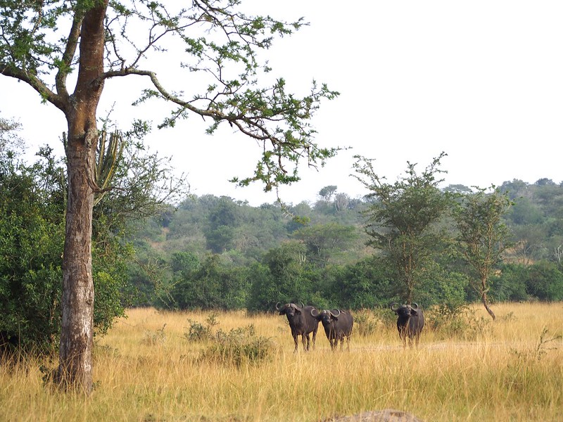 When is the best time to visit Lake Mburu National Park