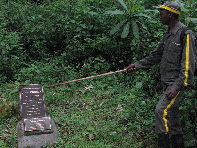 Hiking Dian Fossey trail