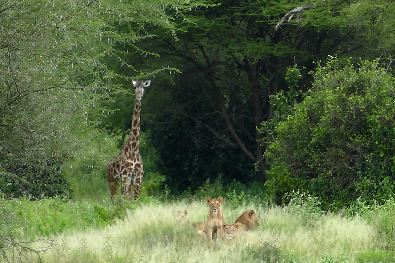 Tarangire National Park