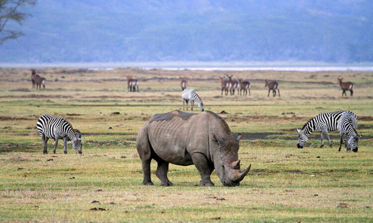 Ngorongoro Conservation Area