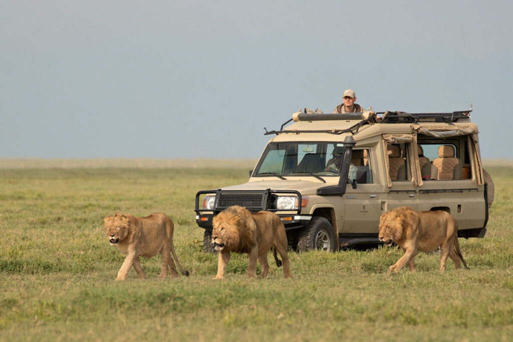 Ngorongoro Crater park fees 2025-2026