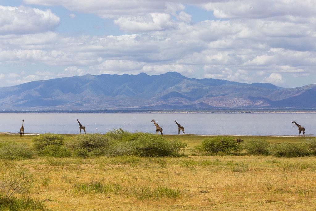 Facts About Lake Manyara National Park