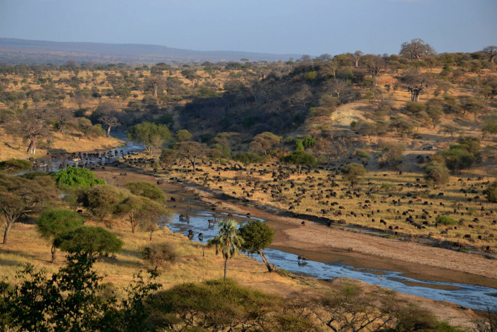 Tarangire River