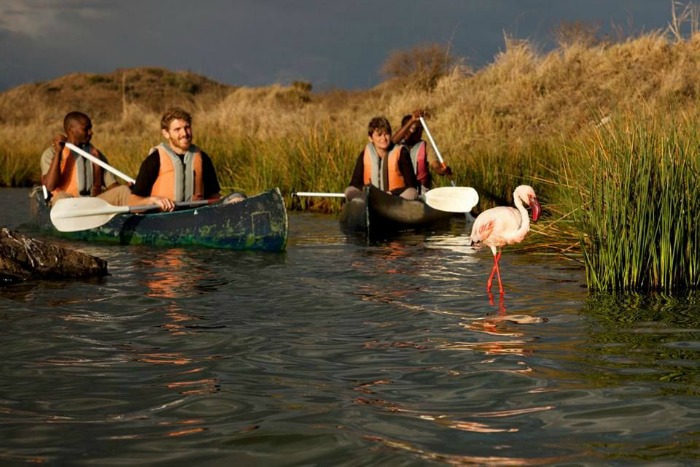 Canoeing on Lake Manyata National Park