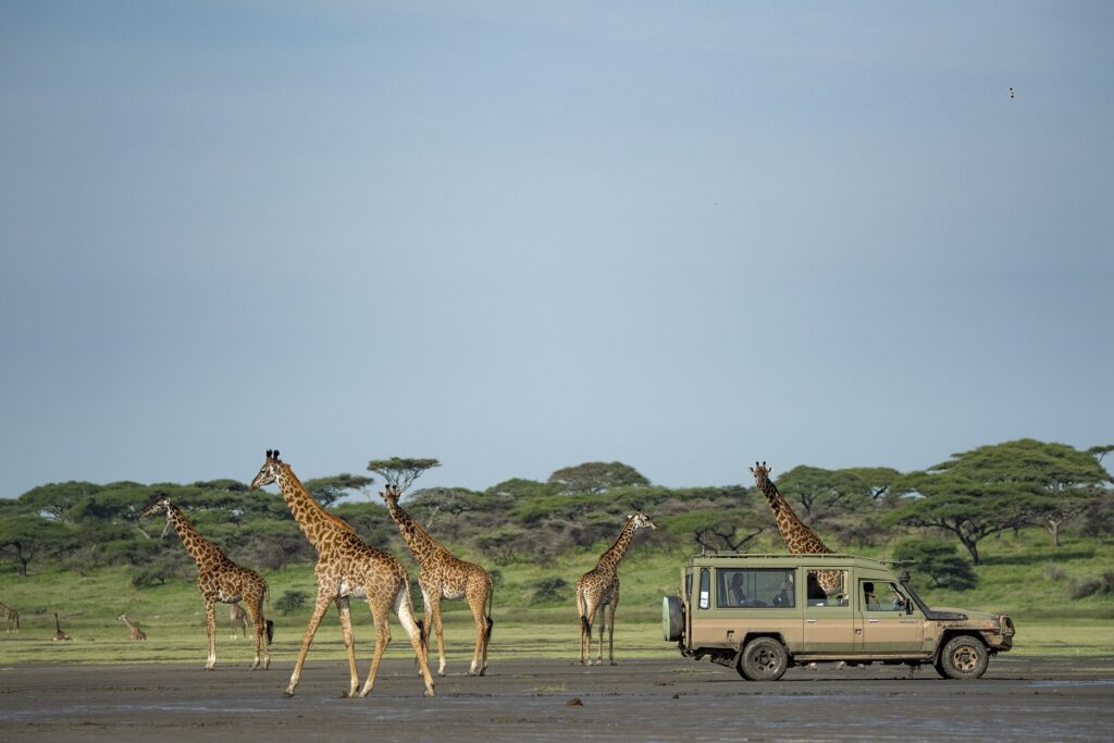 Ndutu Region